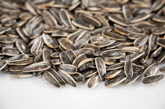 Ranking the top 10 sunflower seed flavors!
