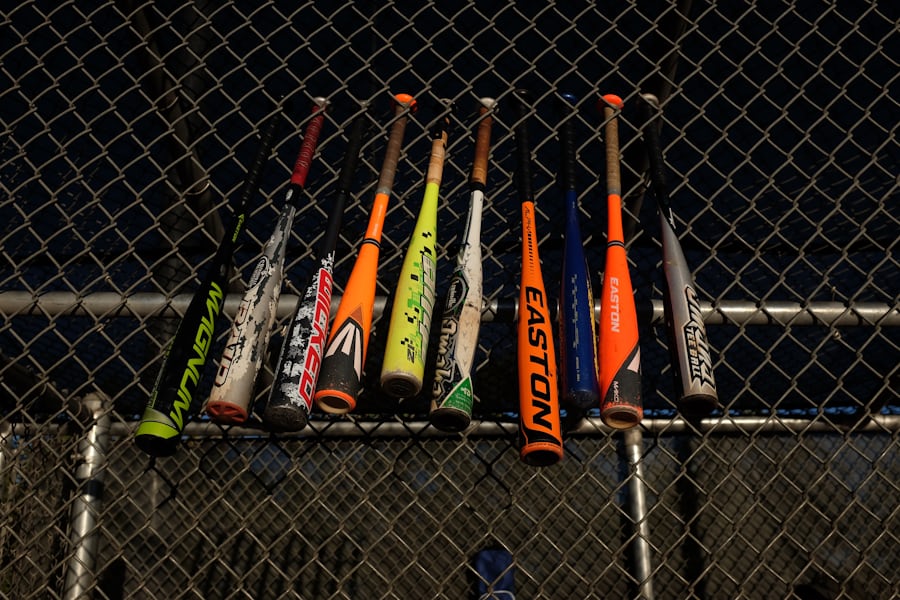 Which Baseball Bat is the Best One?